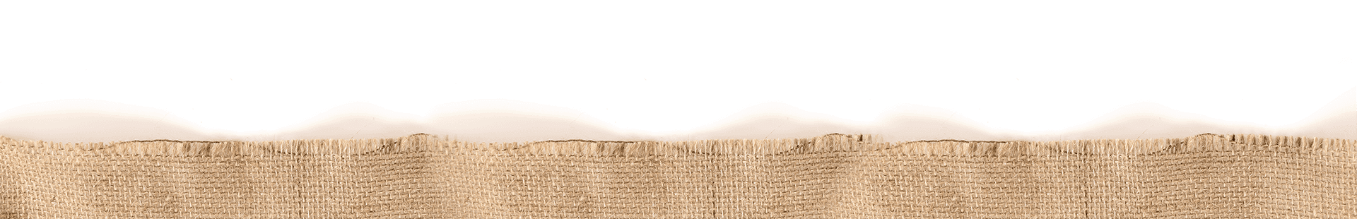 footer-detail